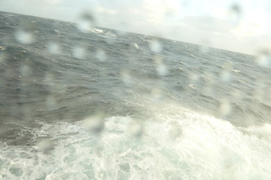 tag5.jpg